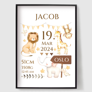 Poster -   Birth Poster / Personalised