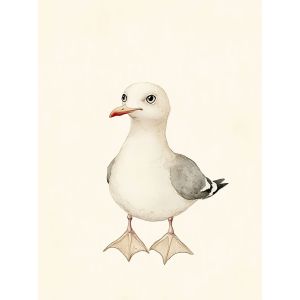 Poster - Seagull Illustration
