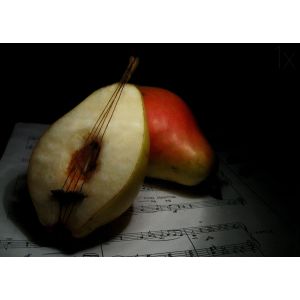 Poster - Pear Music