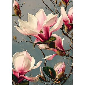 Poster - Pink Magnolia